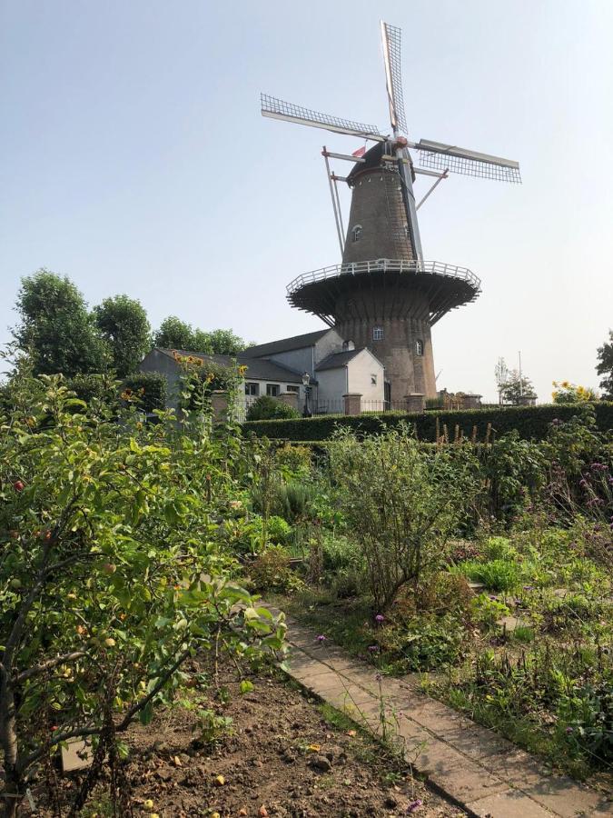 Villa Blauwe Lelie Ewijk Exterior foto